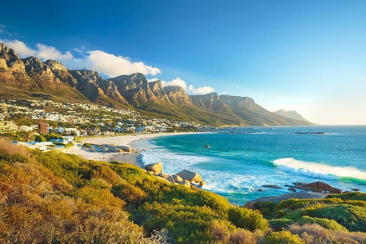 Cape Point and Penguins: Full-Day Coastal Drive from Cape Town photo 4