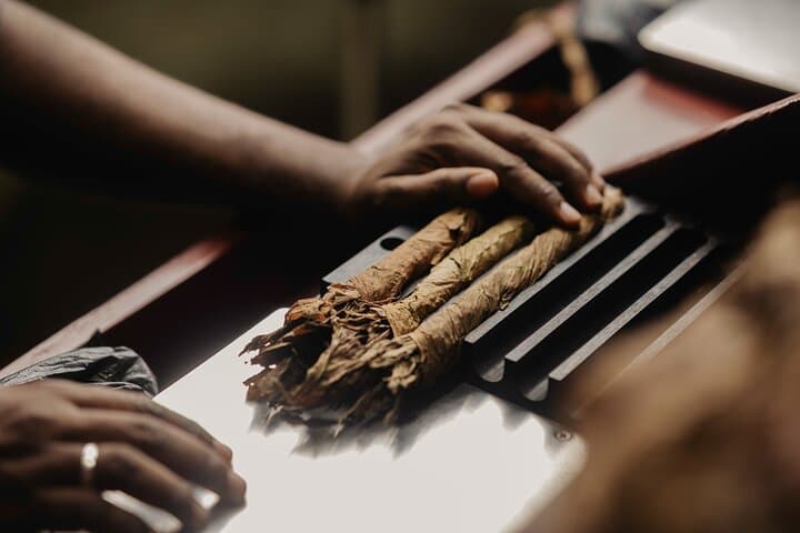 Roll Your Own Cigar in Puerto Plata: Hands-On Torcedor Class at Tabacalera Cremo photo 6