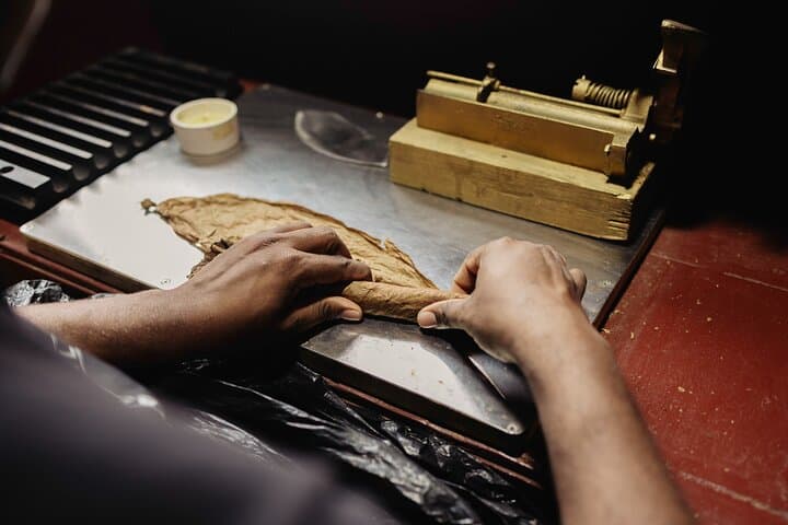 Roll Your Own Cigar in Puerto Plata: Hands-On Torcedor Class at Tabacalera Cremo photo 2