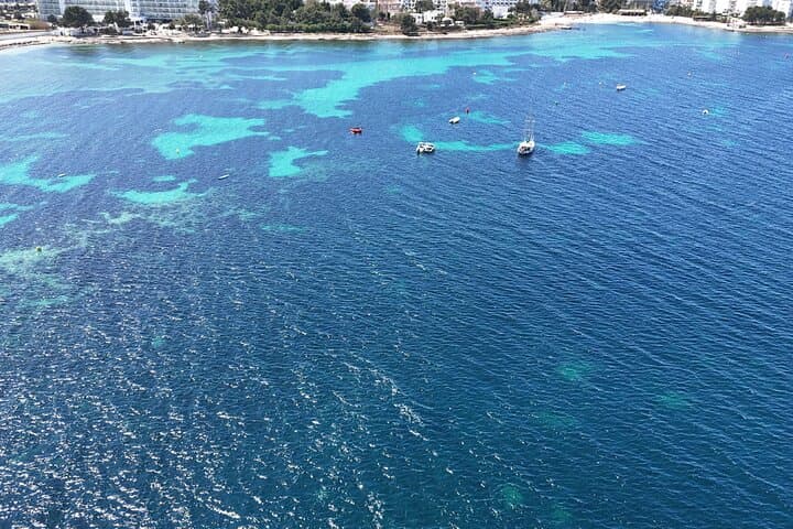 Private Boat Experience in Ibiza: Cala Bassa & Cala Conta Day Charter photo 3