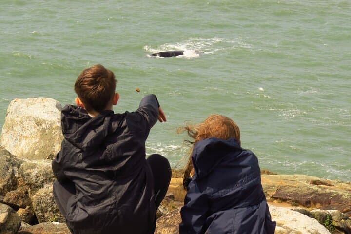 Shore-Based Whale Watching in Santa Catarina: Land Tours from Florianópolis photo 5