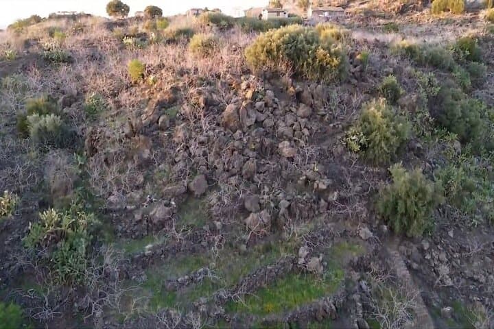 Bronte Pistachio Plantation Tour and Tasting — Half-Day Agro-Tour in Sicily photo 5