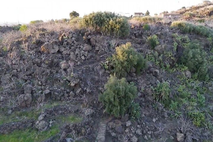 Bronte Pistachio Plantation Tour and Tasting — Half-Day Agro-Tour in Sicily photo 6