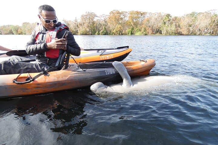 Blue Spring Manatee Kayak Tour — Small-Group Wildlife Paddle Near Orlando