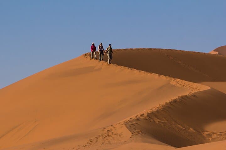 9-Day Namibia Safari: Canyons, Dunes & Wildlife from Windhoek