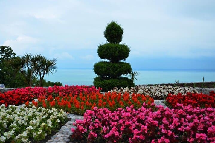 Batumi Botanical Garden & Petra Fortress Day Trip from Kutaisi photo 4
