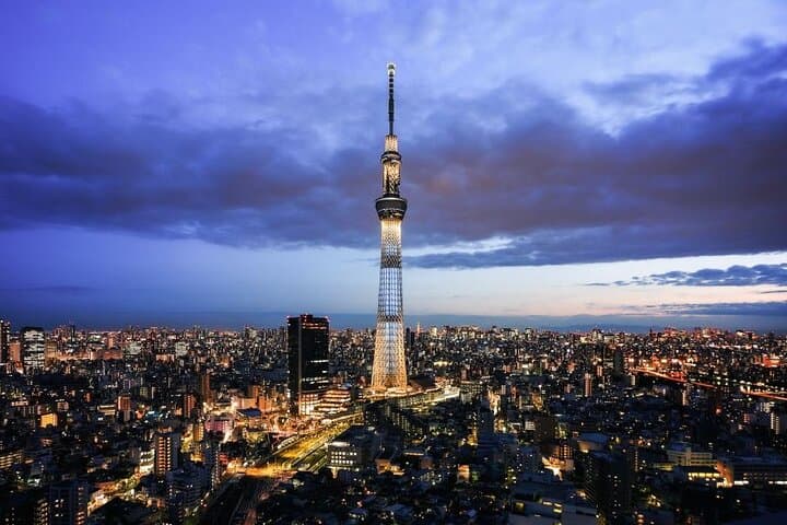 Private Tokyo City Tour for Up to 6: Skytree, Senso-ji & Tsukiji photo 2