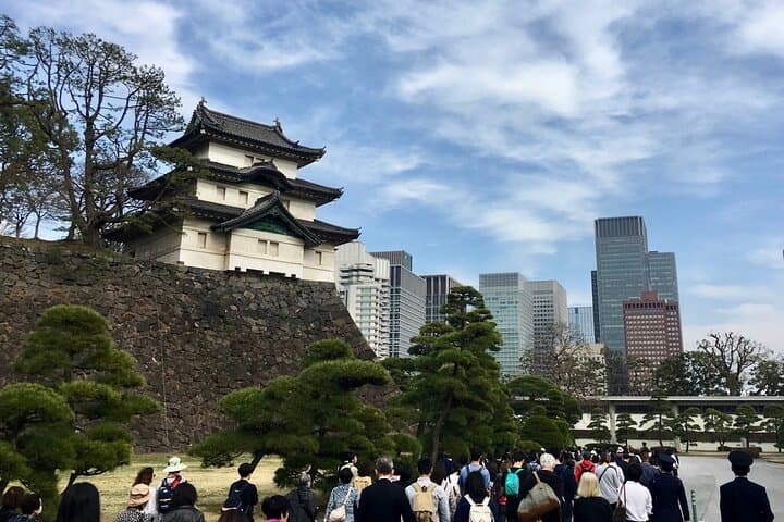 Private Tokyo City Tour for Up to 6: Skytree, Senso-ji & Tsukiji photo 4