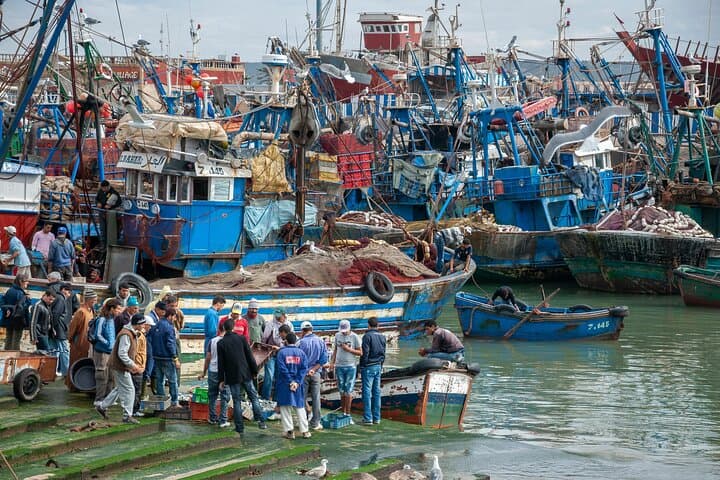 Essaouira Day Trip from Marrakech: Argan Co‑ops, Medina & Atlantic Coast photo 3