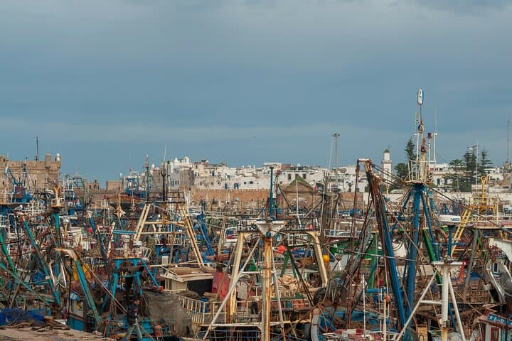 Essaouira Day Trip from Marrakech: Argan Co‑ops, Medina & Atlantic Coast photo 6