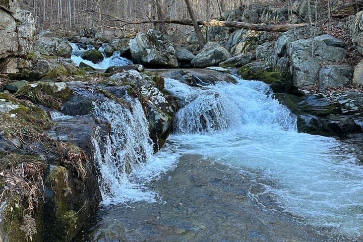 Private Virginia Trout Fishing Excursion: Full-Day Guided Trip from DC photo 2