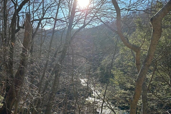 Private Virginia Trout Fishing Excursion: Full-Day Guided Trip from DC photo 4