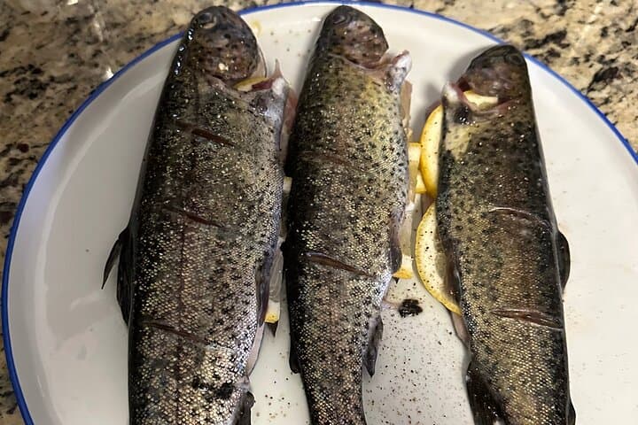 Private Virginia Trout Fishing Excursion: Full-Day Guided Trip from DC photo 5