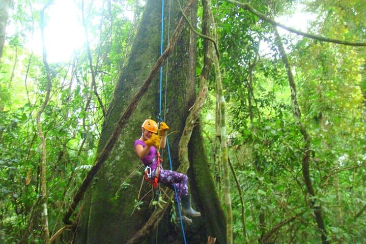 3-Day Amazon Jungle Tour from Iquitos: Pink Dolphin Watching & Lodge Experience
