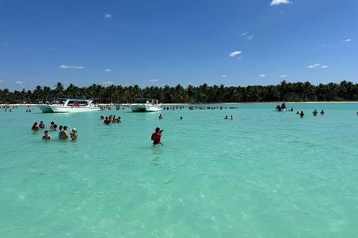 Saona Island Day Trip from Punta Cana — Natural Pool, Beaches & Boat Tour photo 4