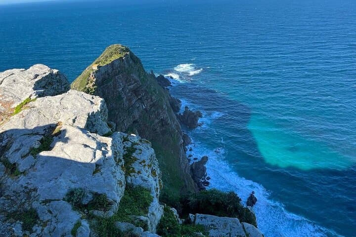 Full-Day Cape Peninsula Tour: Cape of Good Hope & Boulders Beach Penguins photo 4
