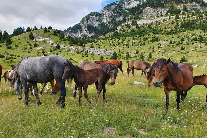 Hiking Prenj: Velika Kapa Day Hike from Konjic photo 5