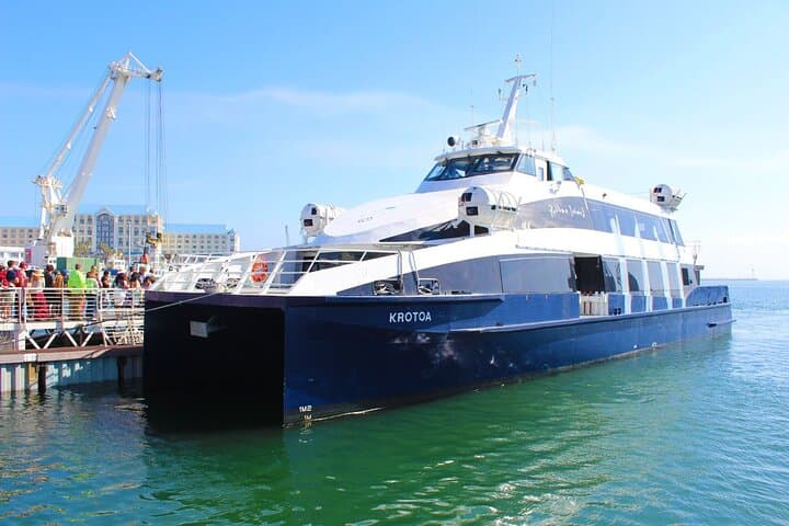 Robben Island Private Half-Day Tour: History, Ferry Crossing & V&A Waterfront photo 2