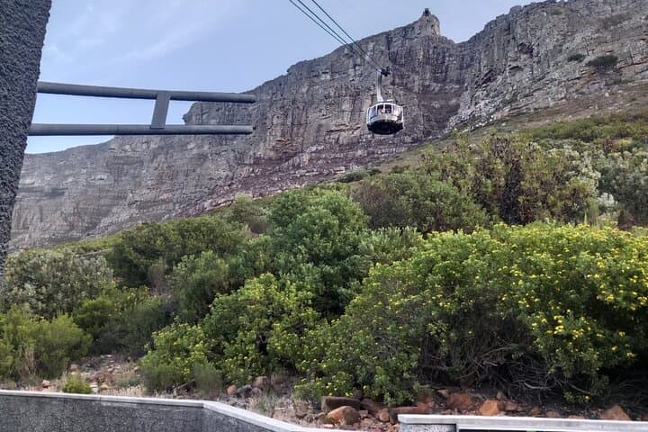 Table Mountain & Robben Island: Private Full-Day Cape Town Tour photo 3