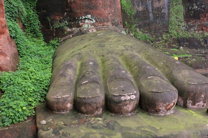 Chengdu to Leshan: Panda Base Morning and Giant Buddha Day Tour photo 4