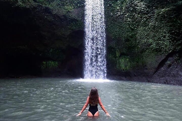 Ubud Waterfalls, Tirta Empul Temple & Tegalalang Rice Terraces Private Tour