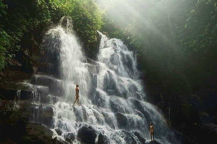 Ubud Waterfalls, Tirta Empul Temple & Tegalalang Rice Terraces Private Tour photo 4