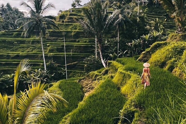 Ubud Highlights: Monkey Forest, Tegalalang Rice Terraces & Tirta Empul Day Tour