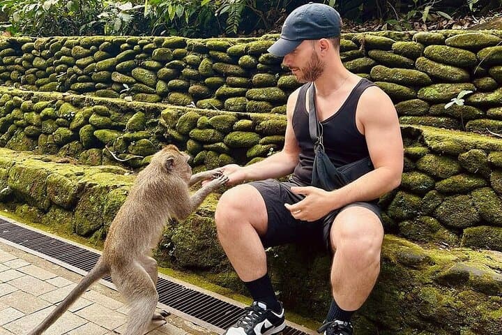 Ubud Highlights: Monkey Forest, Tegalalang Rice Terraces & Tirta Empul Day Tour photo 2