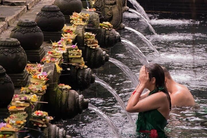 Ubud Highlights: Monkey Forest, Tegalalang Rice Terraces & Tirta Empul Day Tour photo 4
