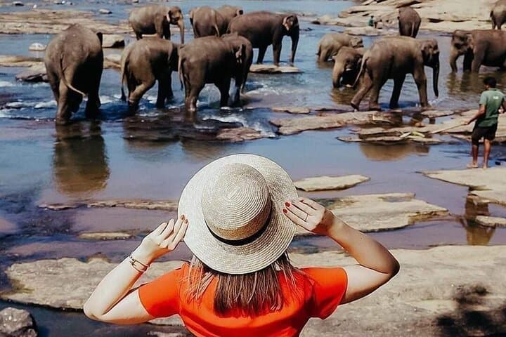 Discover Sri Lanka: An All-Inclusive 9-Day Adventure photo 2