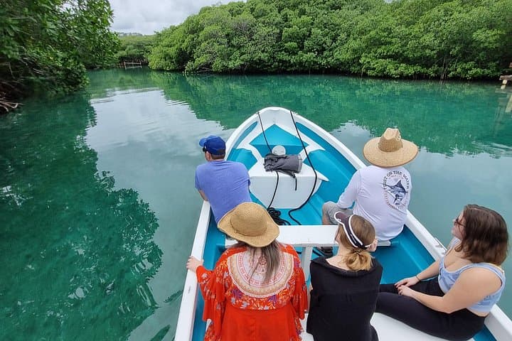 Half-Day Roatan East Cultural Tour — Turtle Sanctuary, Mangroves & Garífuna Heritage photo 4