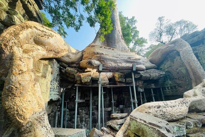 Angkor Cycling Tours: Explore Angkor Wat, Ta Prohm & Bayon by Bike photo 5