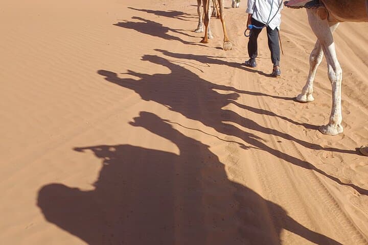 5-Day Desert Atlas and Sahara Kasbah Tour from Marrakech