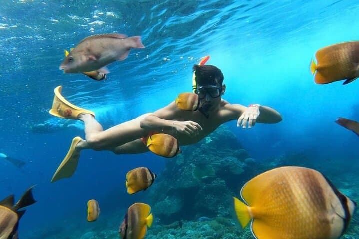 Nusa Penida Day Trip: Snorkel with Mantas, Crystal Bay & Kelingking Views photo 4
