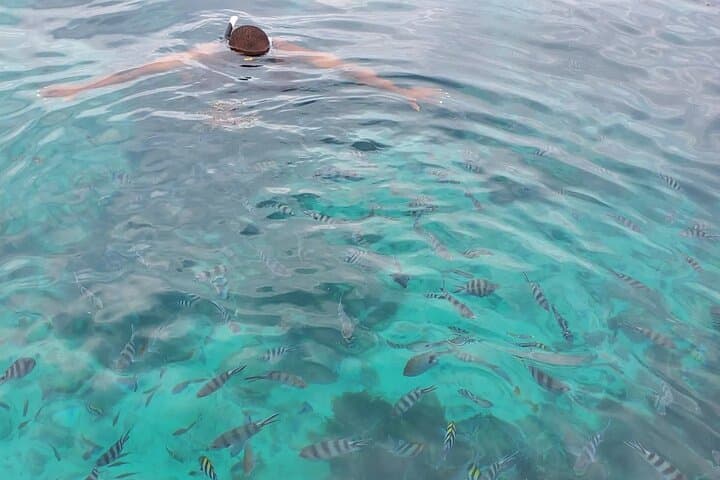 Private Mnemba Island Snorkel Tour with Lunch from Zanzibar photo 3