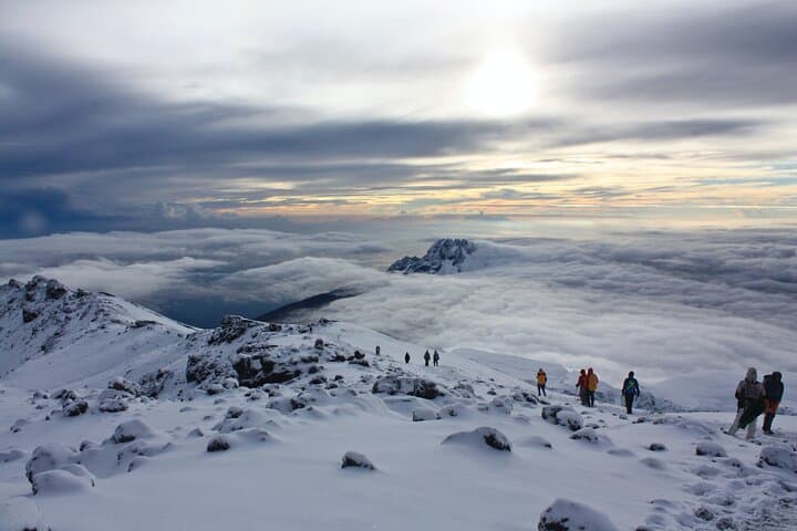 Machame Route Kilimanjaro: 7-Day Summit Trek from Arusha to Uhuru Peak photo 5