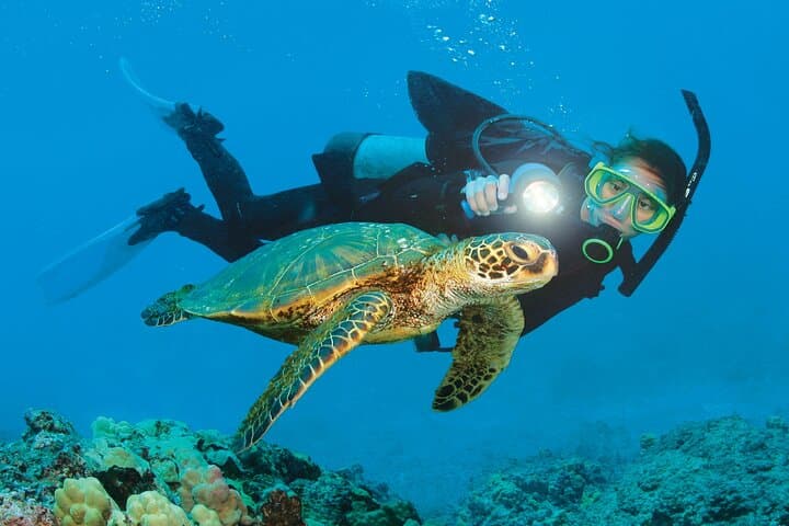 Antalya Mediterranean Diving Adventure — Two Guided Dives from Kemer