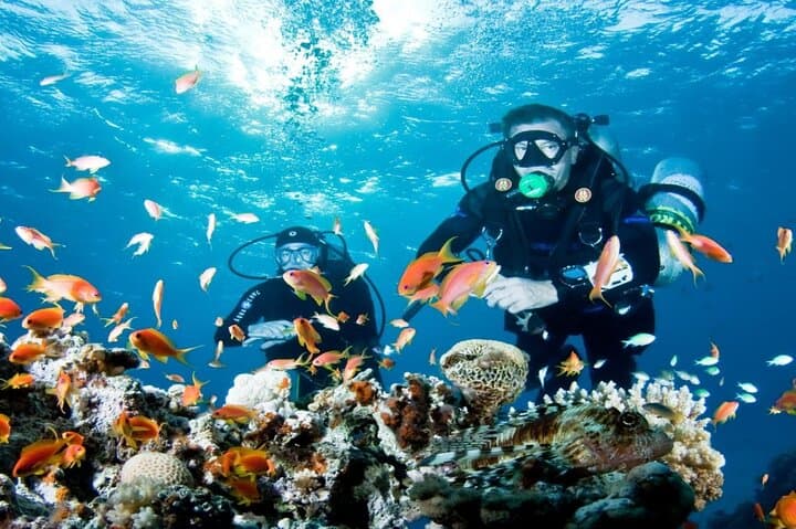 Alanya Scuba Diving: Two Guided Dives, Boat Cruise & Lunch from Side photo 4