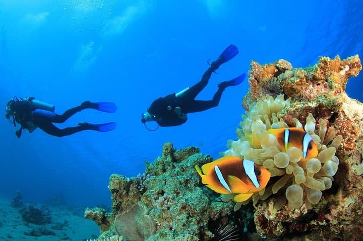 Antalya Mediterranean Diving Adventure — Two Guided Dives from Kemer photo 5