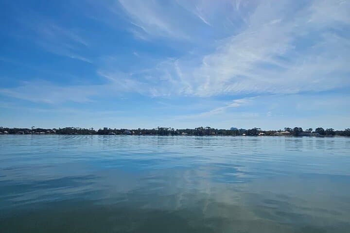 Coastal Island Tour Orange Beach: Island Hopping & Dolphin Sightseeing photo 4