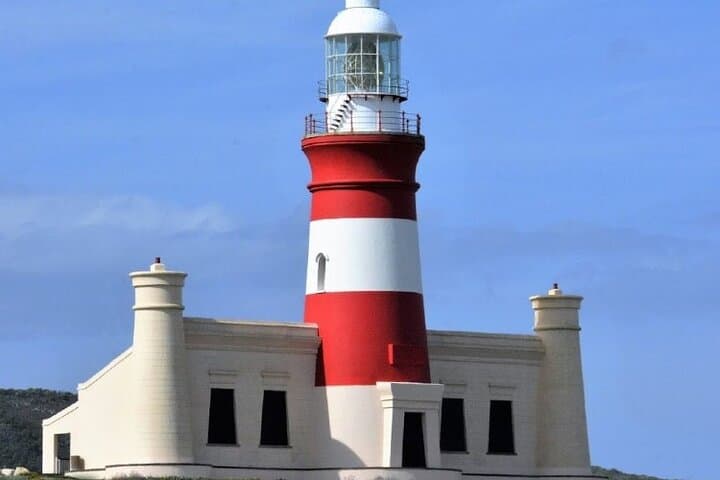 Cape Agulhas Private Day Tour — Where the Indian and Atlantic Meet photo 4