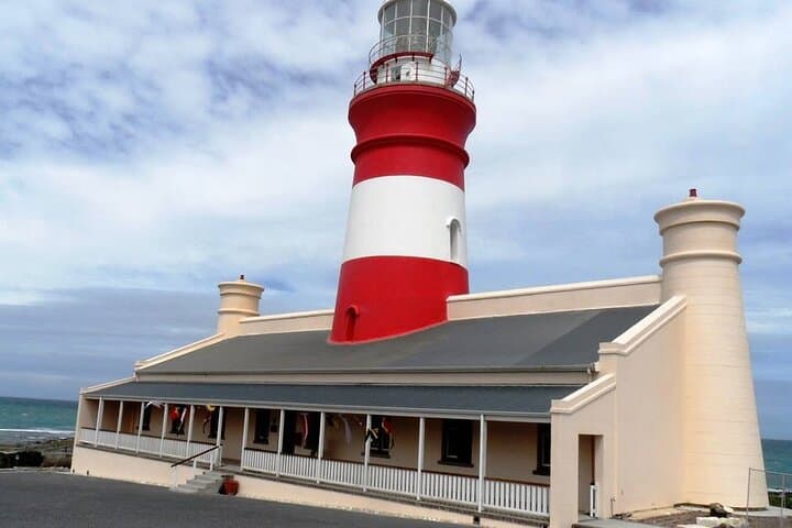 Cape Agulhas Private Day Tour — Where the Indian and Atlantic Meet photo 5