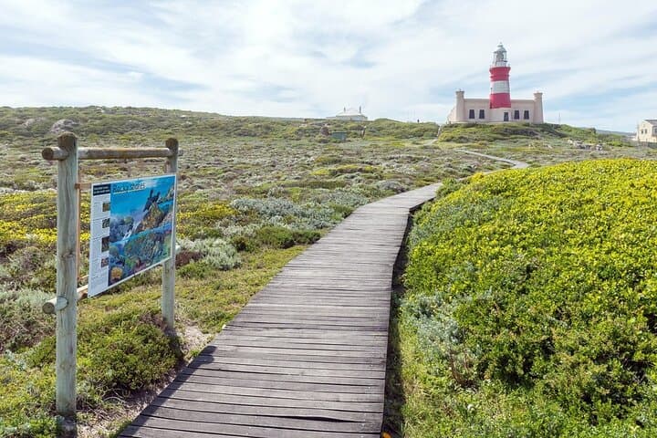 Cape Agulhas Private Day Tour — Where the Indian and Atlantic Meet photo 2