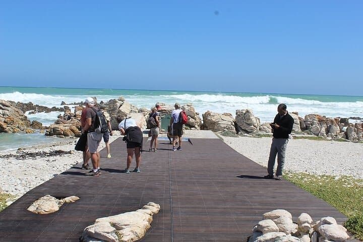 Cape Agulhas Private Day Tour — Where the Indian and Atlantic Meet photo 6