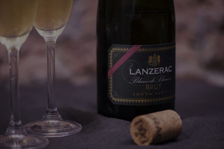 Private Western Cape Wine Tasting: Stellenbosch, Franschhoek & Paarl Day Tour photo 3