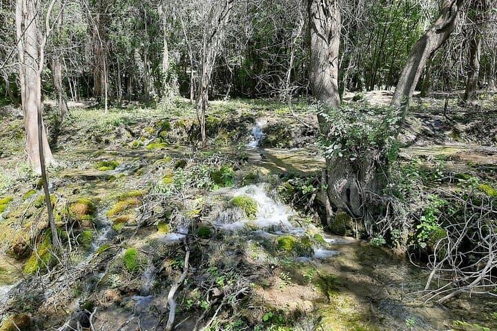 Explore Krka National Park: A Private Full-Day Tour from Dubrovnik photo 6