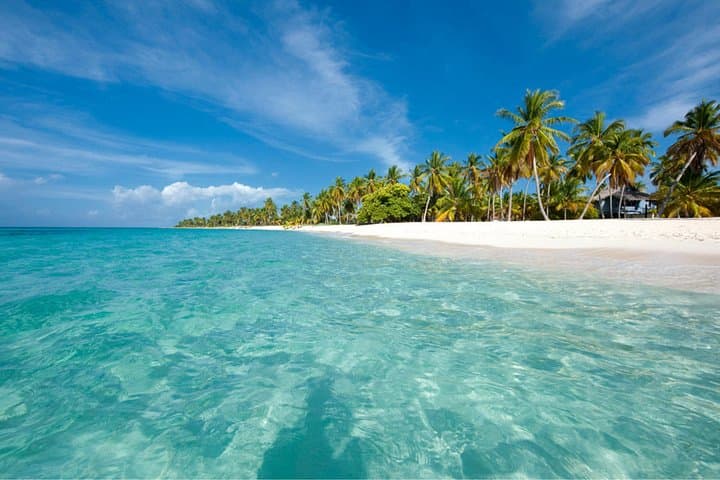 Saona Island Full-Day Catamaran & Speedboat Tour from Punta Cana photo 2