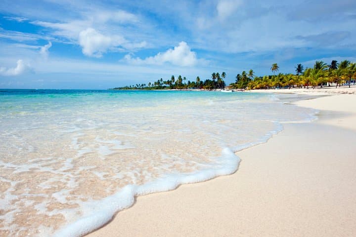 Saona Island Full-Day Catamaran & Speedboat Tour from Punta Cana