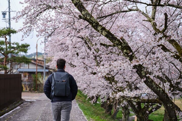 Timeless Takayama Walking Tour: Private Two-Hour Walk Through Historic Streets photo 4