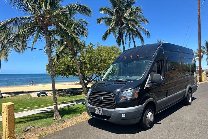 Hapuna Beach Day Trip from Kailua-Kona: Cruise Ship Excursion & Historic Coastal Stops